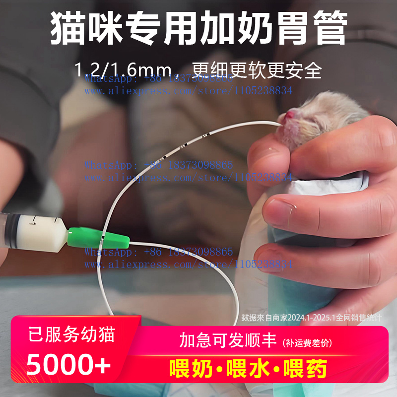 Tube gastrique pour animaux de - Pet Feeders avis et prix