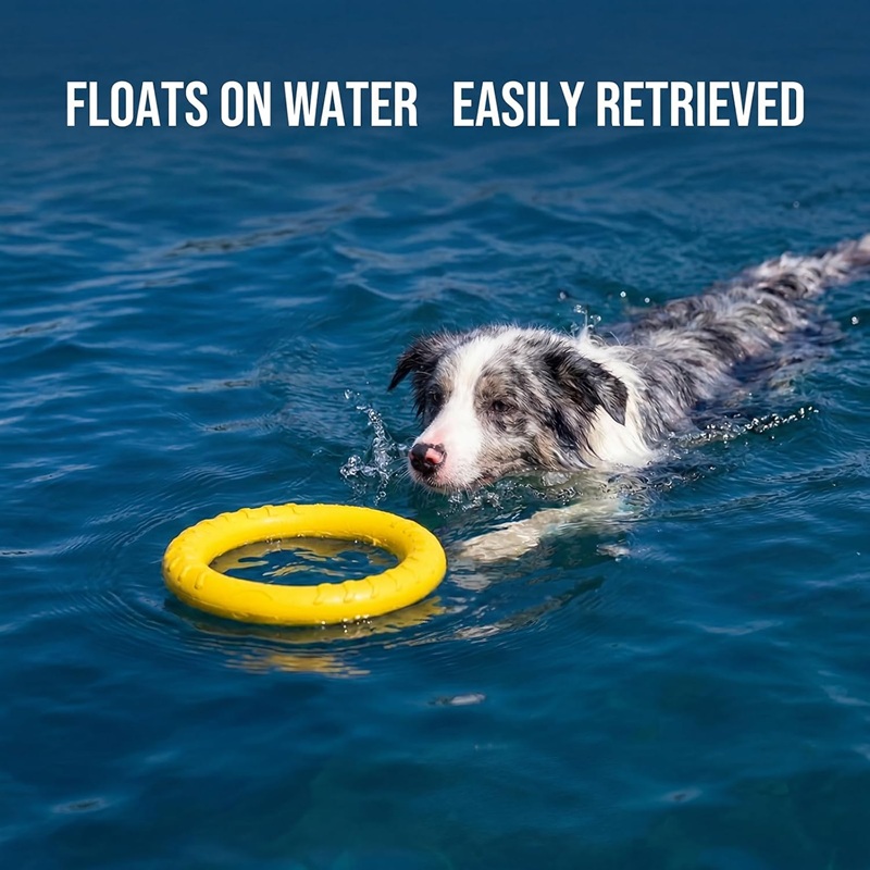 Jouets pour chiens : Disques v - Indestructible Dog Chew Toy avis et prix