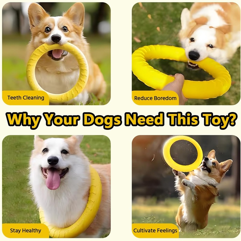 Jouets pour chiens : Disques v - Indestructible Dog Chew Toy avis et prix